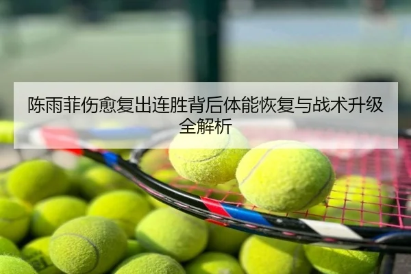 陈雨菲伤愈复出连胜背后体能恢复与战术升级全解析